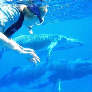 Meet your Posher, Ruth